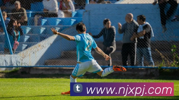 新葡京娱乐平台生态图